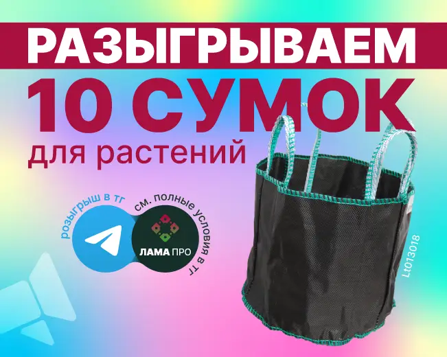 РОЗЫГРЫШ!